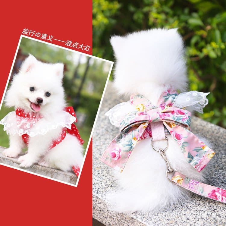Suprimentos para cães e gatos, roupas, coleira para gato, gravata borboleta, arnês para cão, coleira para passeio de cão