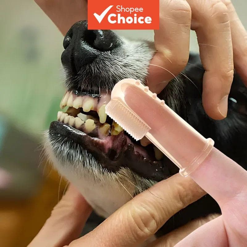 Escova de Dedo para Pets de Silicone Macio, Limpador de Dentes Tipo Manga para Filhotes, Gatinhos e Animais Pequenos
