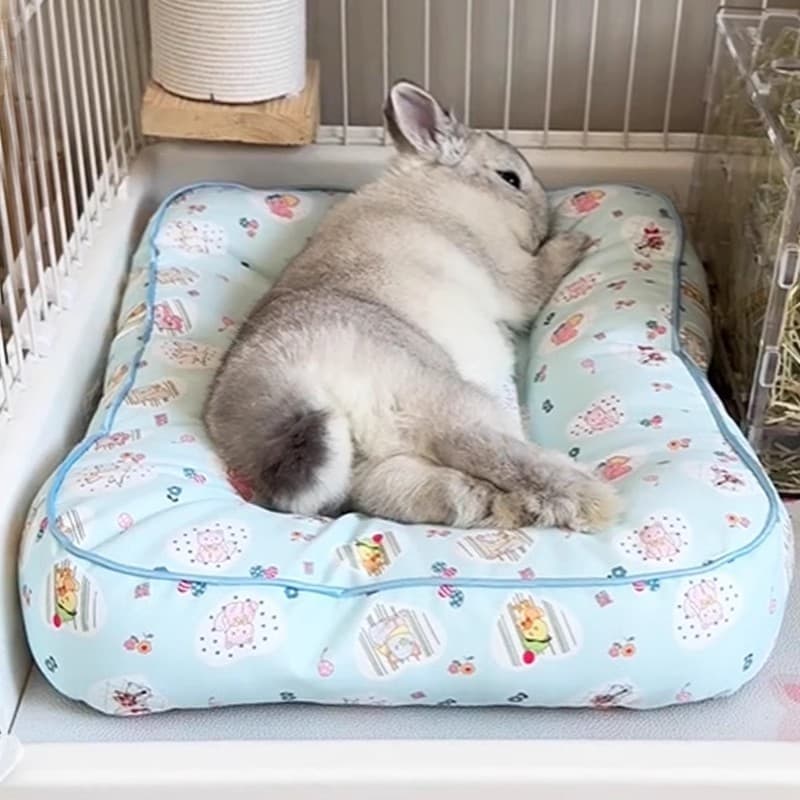 Cama para animais de estimação de verão com almofada de coelho