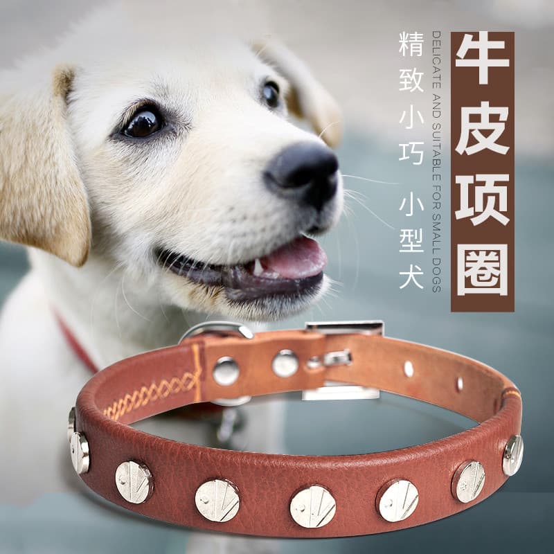 Coleira de couro para animais de estimação, coleira com rebite para cachorro de tamanho médio, borda amarela, coleira pa