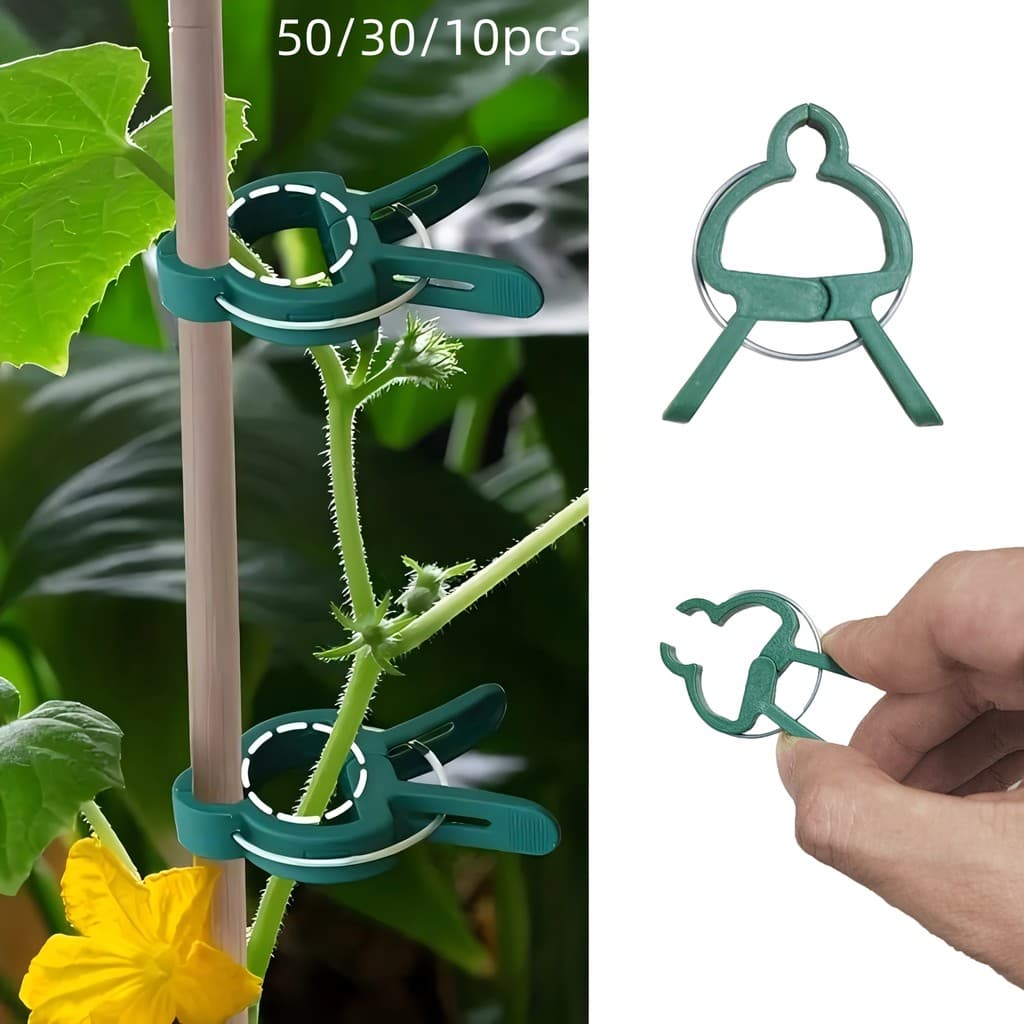 50/30/10pcs Clipes De Plantas Ajustáveis-Suporte De Jardim Reutilizável Para Flores , Videiras , Vegetais E Tomates-Plás