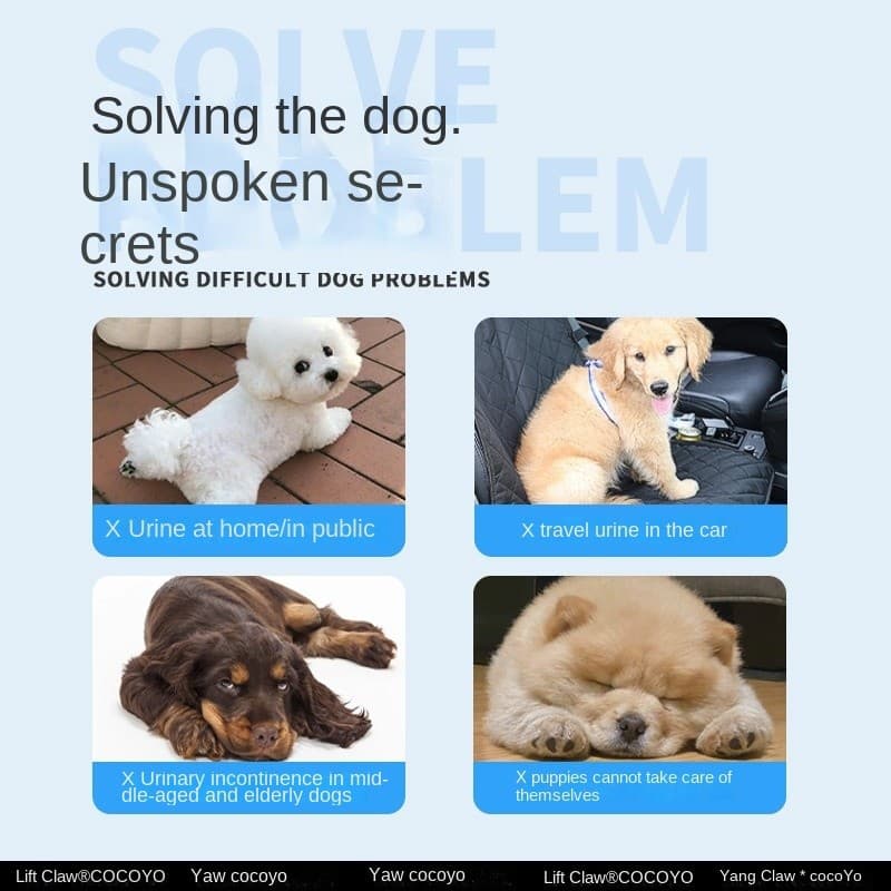 Calças Menstruais Para Animais De Estimação Cães E Gatos Masculinos Femininos , Fraldas