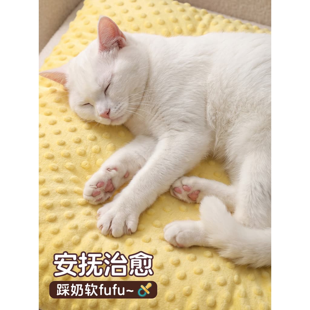 Gatinho pisando no leite almofada macia Pet gato Villa gato escalada quadro almofada quente maca de gato almofada pequen