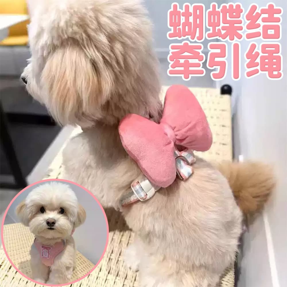 Corda de tração para cães, colete estilo colete para animais de estimação, corda de caminhada para cães, Shiba Inu Bicho