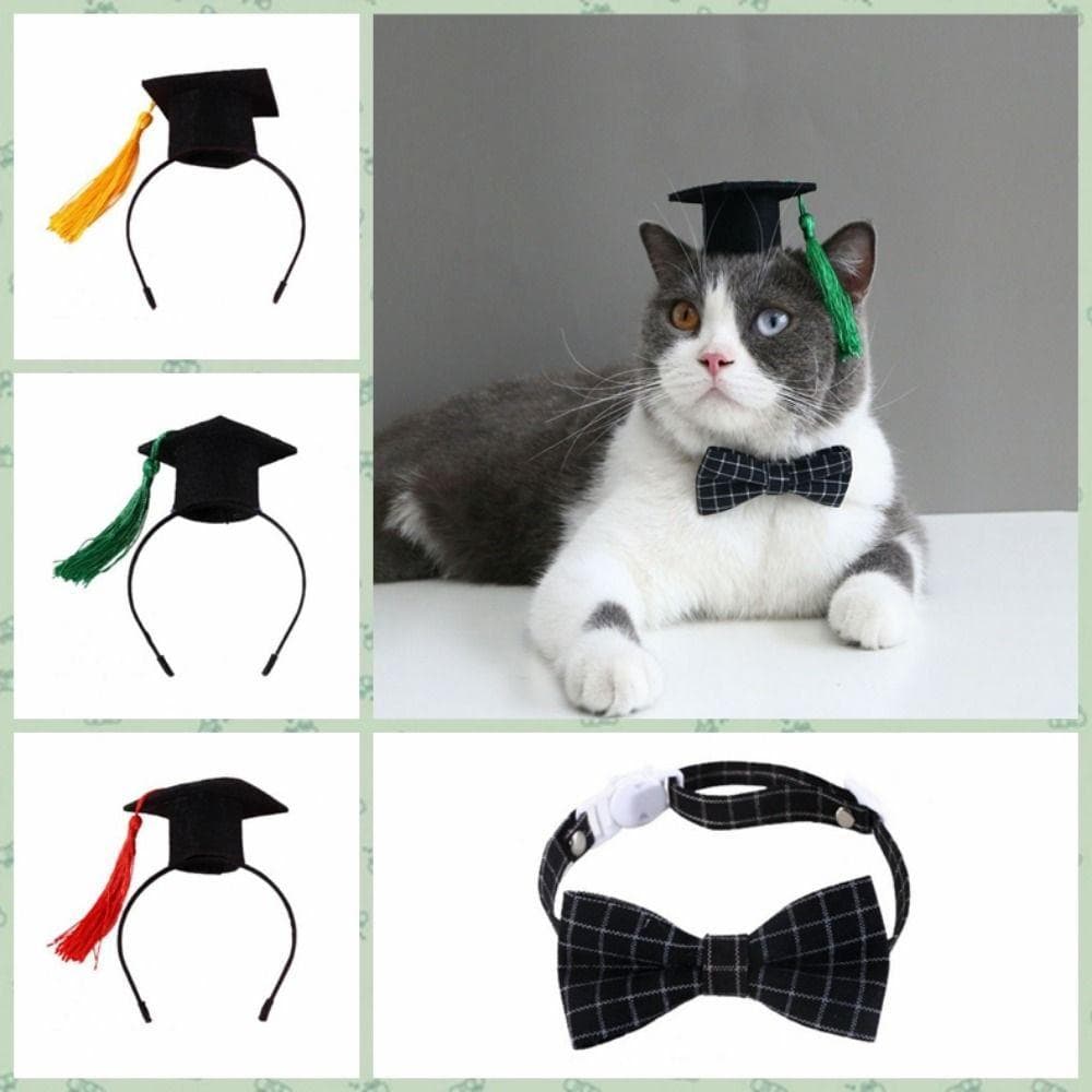 Boné De Formatura Para Gato  , Com Borla Ajustável Cachorro Dr . Chapéu , Fotografia De Elástico De Feltro