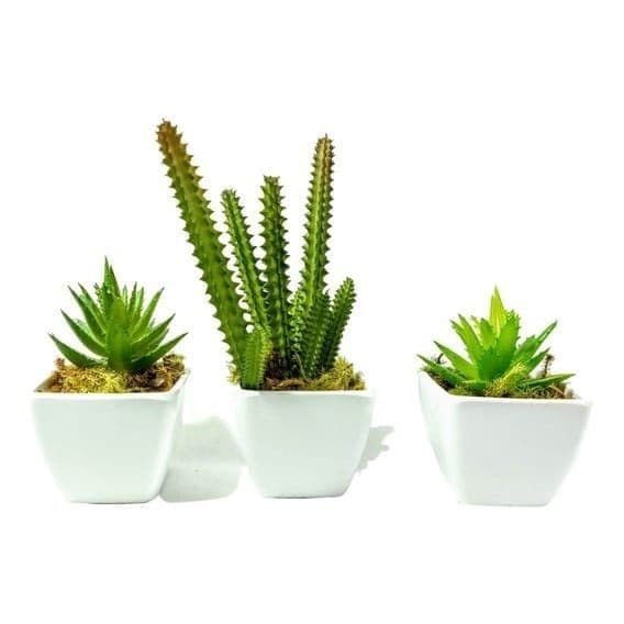 KIT 9 Vasinhos Para Suculenta Quadrado Branco Vaso Decorativo Enfeite decoração