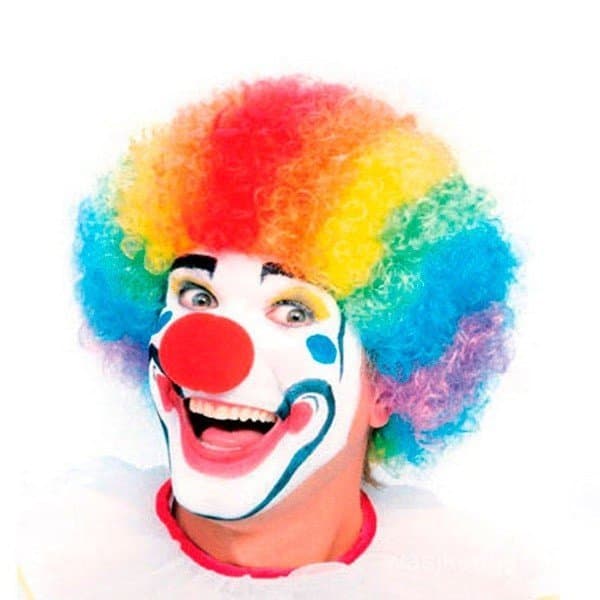 Peruca Palhaço Colorida + Nariz Para Fantasia Cosplay Carnaval
