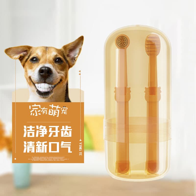 Bichon dedicado cão de estimação escova de dentes conjunto para remover cálculo dentes limpos remover Odor remover mau h