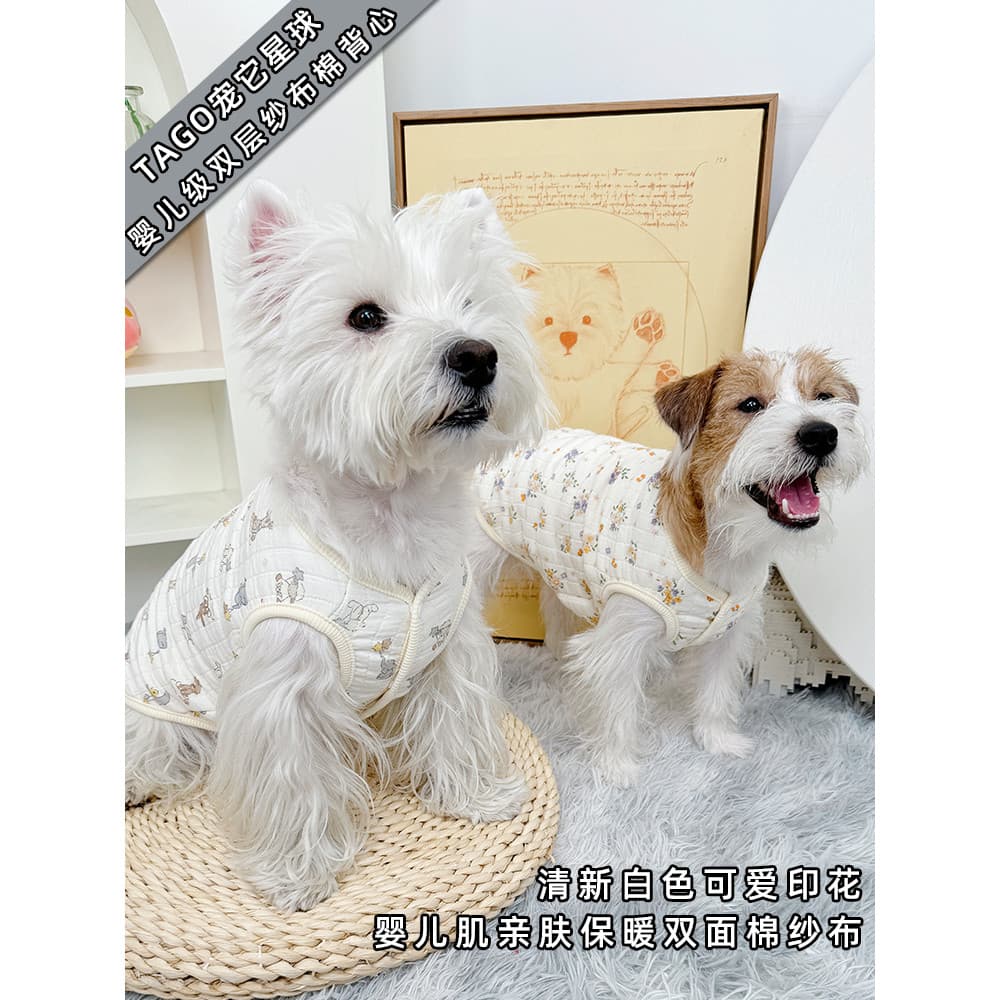 Roupas para cães gato outono inverno quente Teddy Bichon filhote de cachorro pijamas primavera outono pequeno cão York v