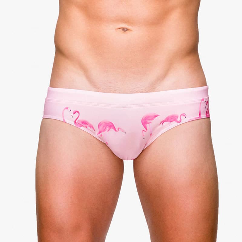UXH Briefs Flamingo Rosa Impresso Praia Shorts de Natação de Cintura Baixa Praia Modelo de Festa Shorts de Competição