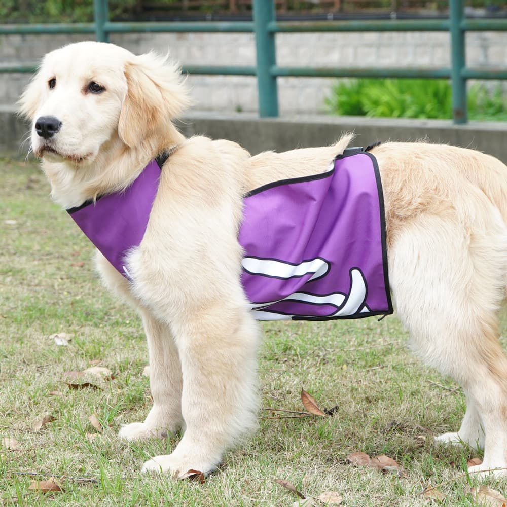 Animal de estimação Anti-sujo à prova dwaterproof água cão barriga proteção bolso pequeno médio grande cão Golden Retrie
