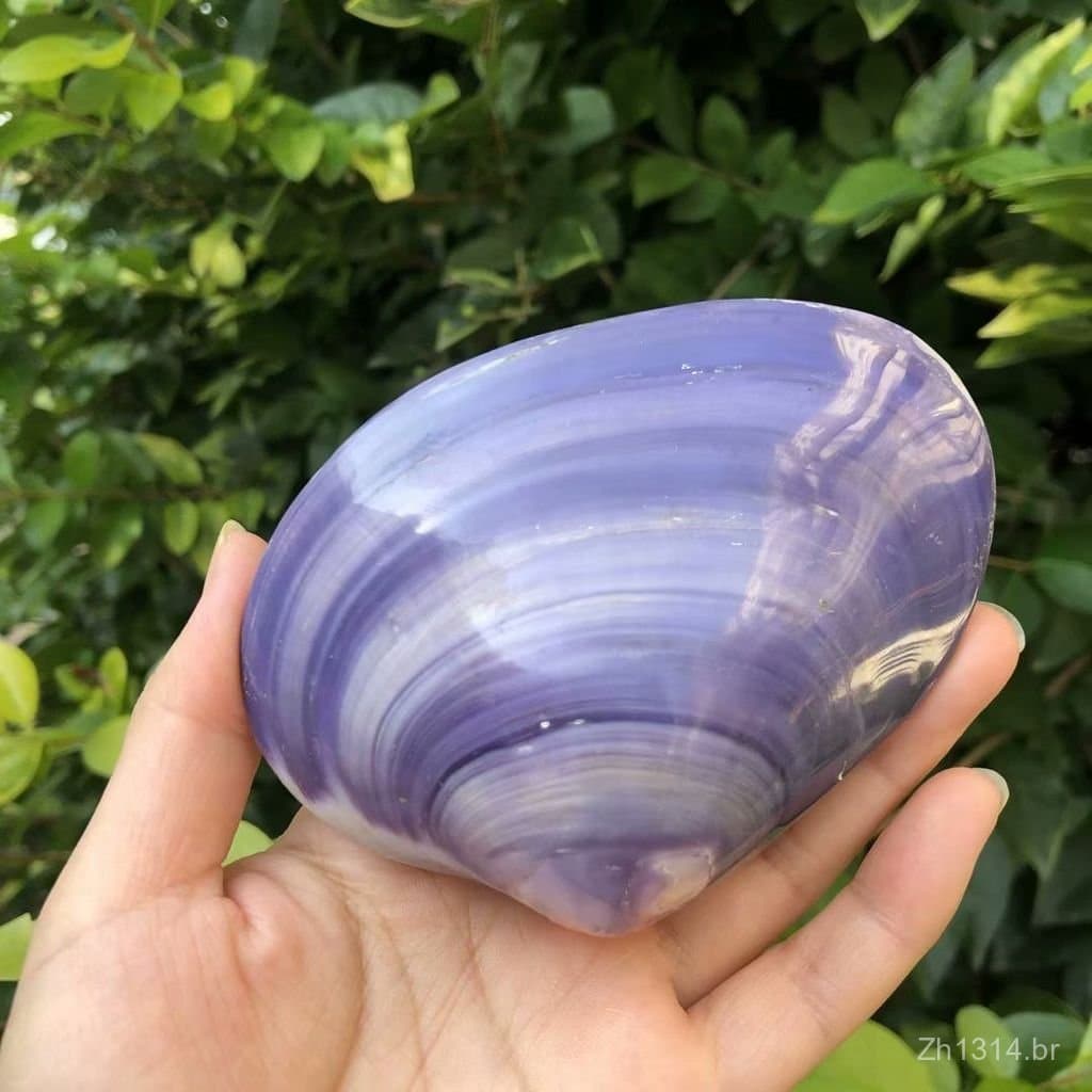Pó natural de concha de caracol marinho, pó de concha de concha, decoração de aquário com concha roxa, decoração de casa