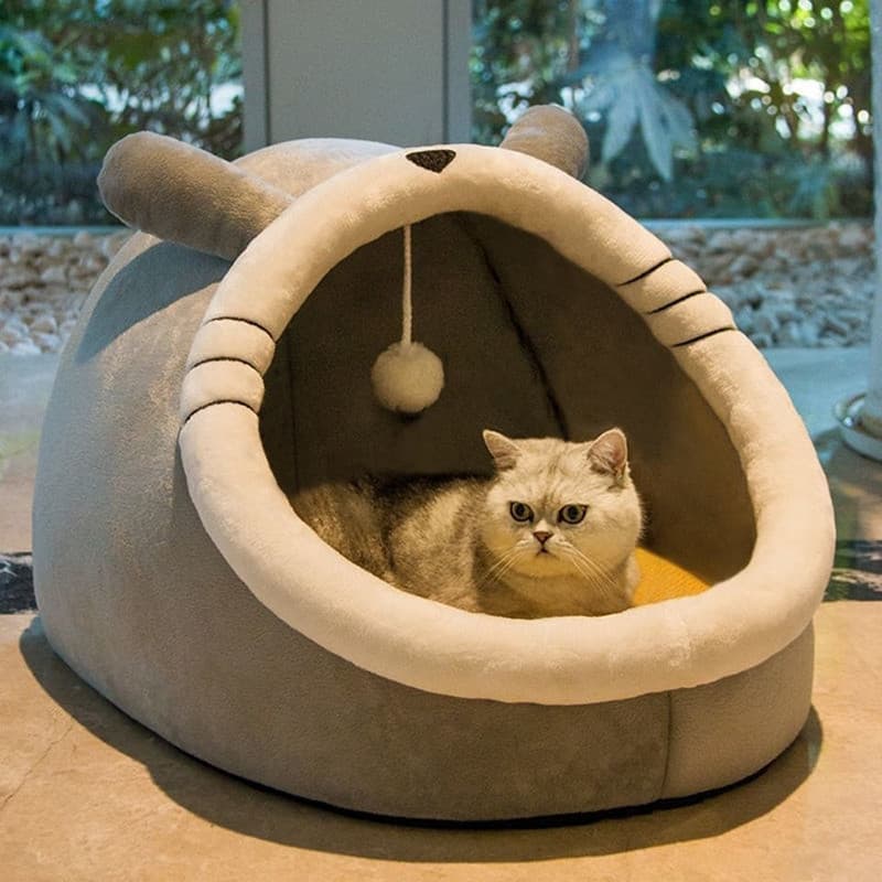 Maca de gato quatro estações Universal verão casa de gato fechado gato gatinho cama verão canil inverno produtos quentes