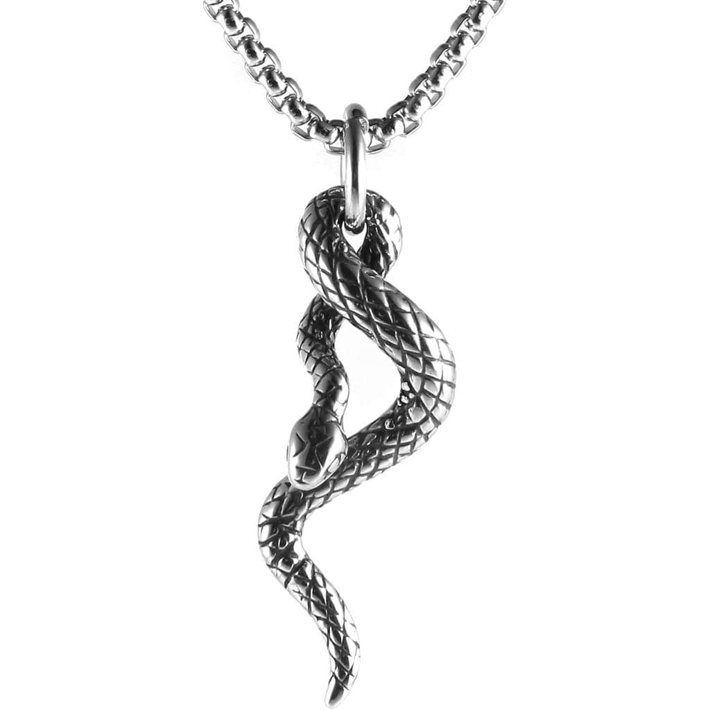 Colar com Pingente de Cobra em Aço Inoxidável para Homens HZMAN, Joias Góticas M24E