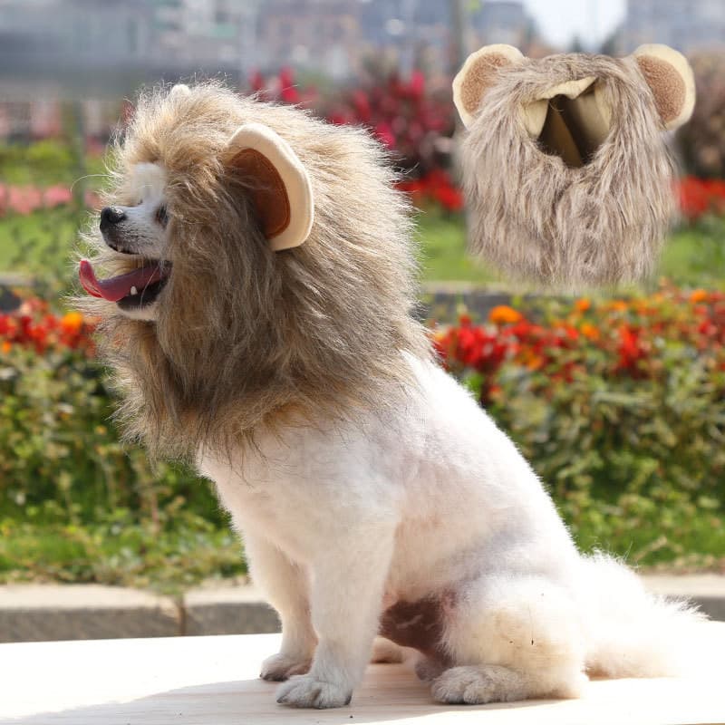 Juba De Leão Para Gato Cachorro Pequeno Fantasia De Halloween Peruca Chapéu Cosplay