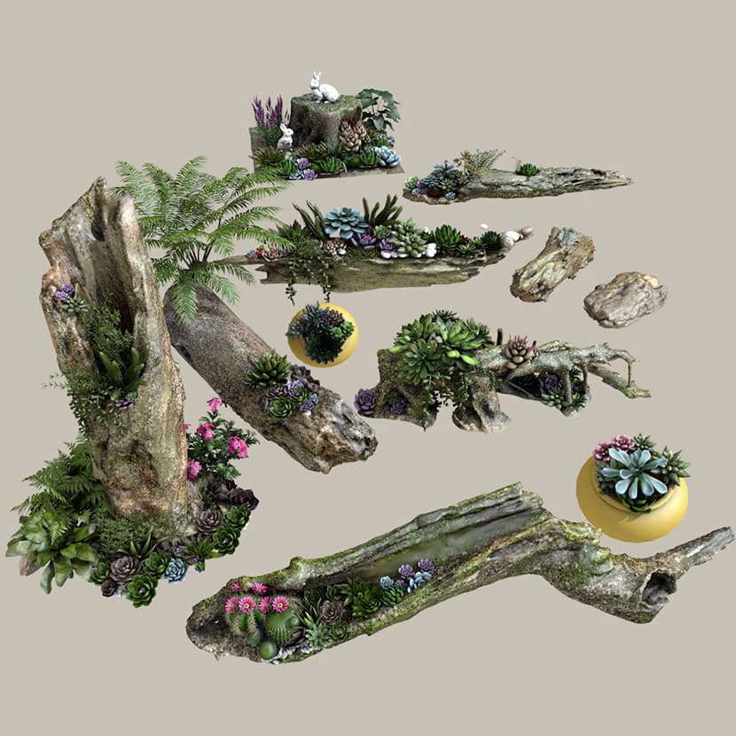 Planta paisagem suculenta vaso de cerâmica vaso planta coto madeira morta madeira ondulada musgo SU modelo C4D material