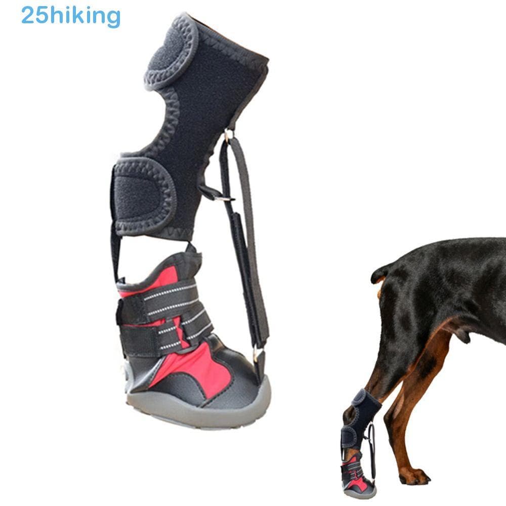 Sapatos Corretivos Para Cães , Com Alça De Carretel , Cinta Pés Dedos Antiderrapantes , Sem Bota