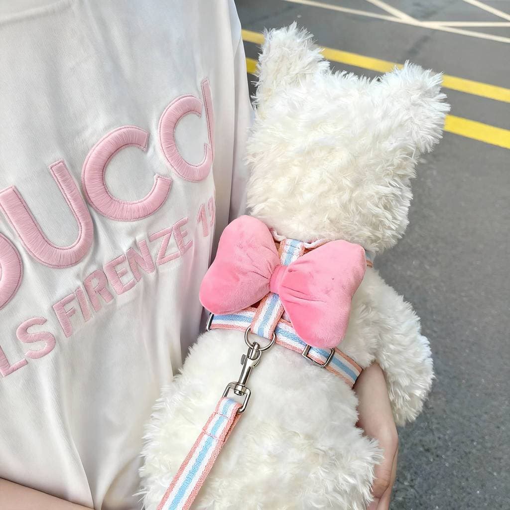 Corda de tração para cães, laço fofo em forma de I, peito traseiro ajustável, Anti-quebra, pequeno, médio porte, cachorr
