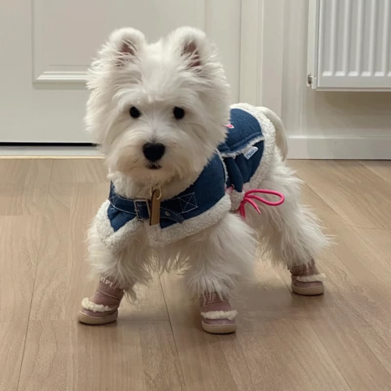 West Highland branco Terrier sapatos especiais cão inverno Outing sapatos de algodão Anti-queda botas de neve inverno sa