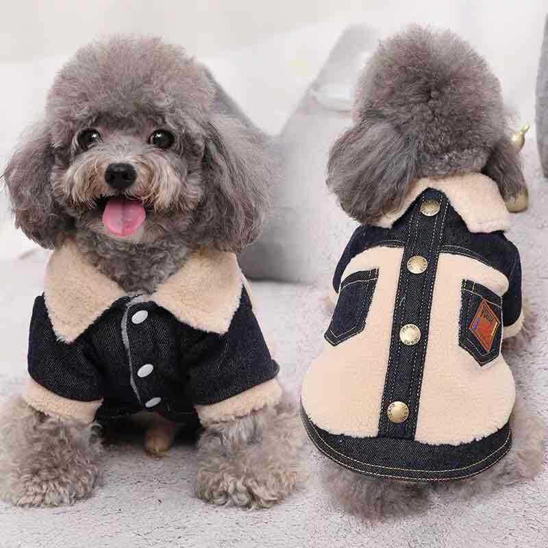 Jaqueta para Cães Espessa para Outono e Inverno, Roupa de Algodão de Dupla Camada para Teddy Bichon, Roupas Quentes para