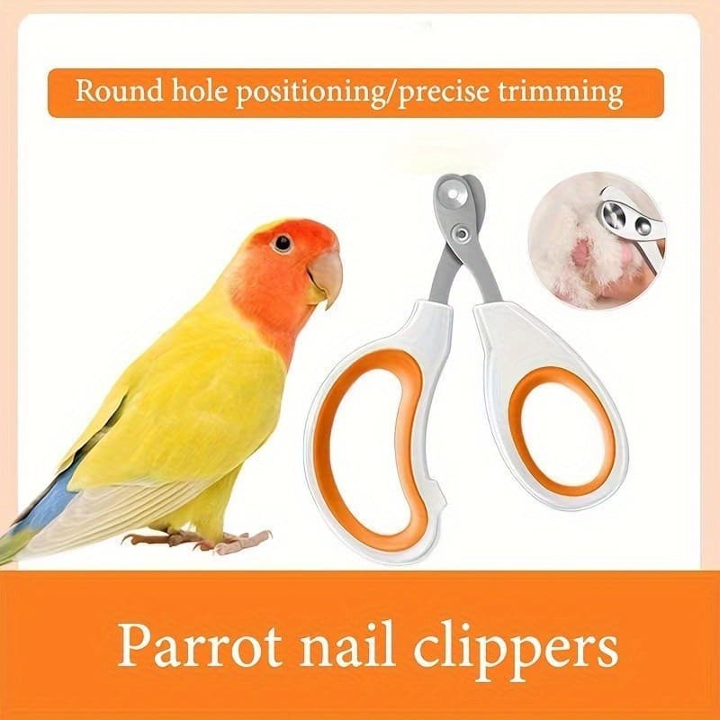 Cortador de Unhas Premium para Papagaios e Aves Pequenas a Médias - Adequado para Cuidados Diários XECI
