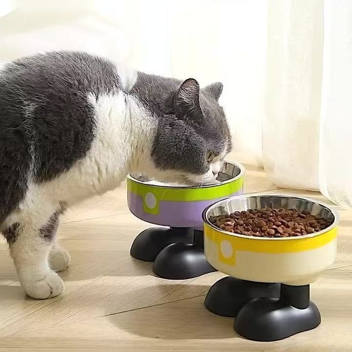 Comedouro Pet Elevado Inox Antiderrapante Design Divertido para Cães e Gatos