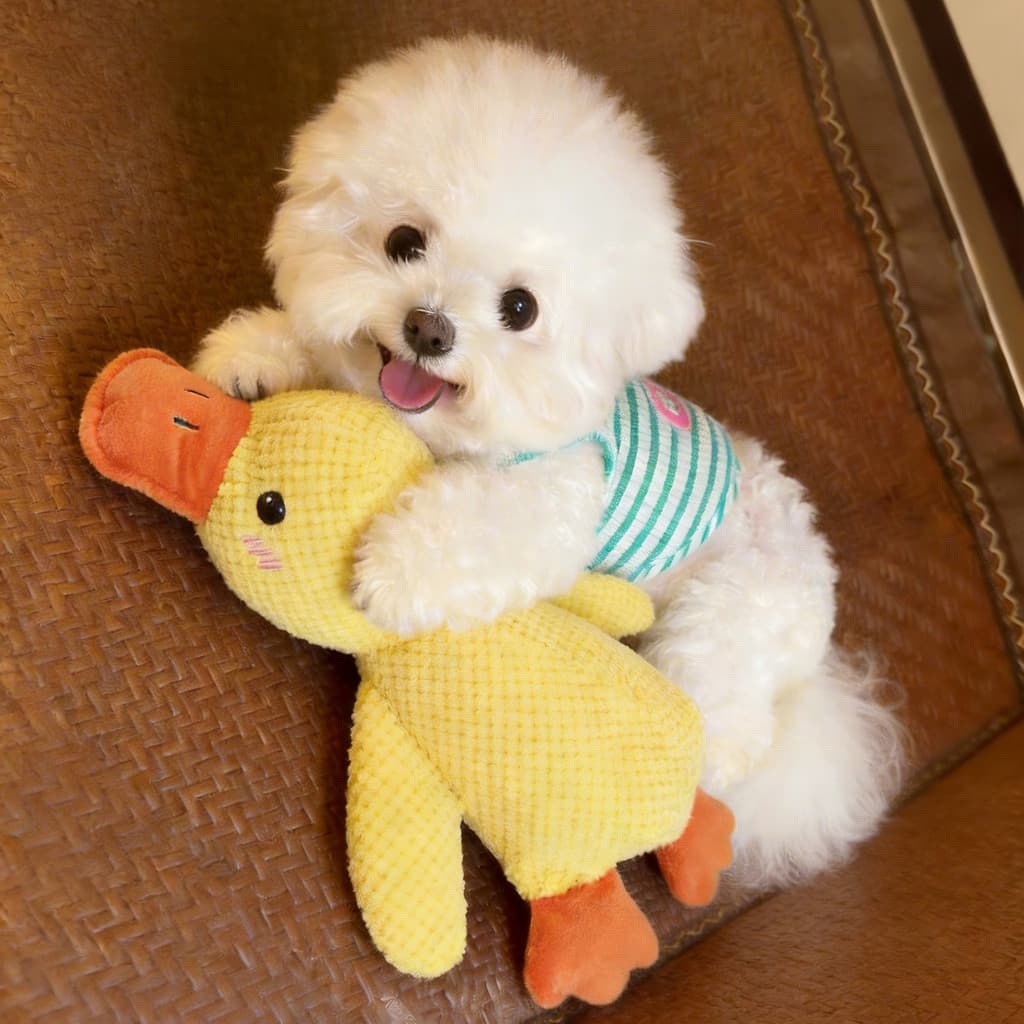 Brinquedo para cachorro voz de pelúcia pato amarelo pequeno médio grande filhotes Molar resistente à mordida suprimentos
