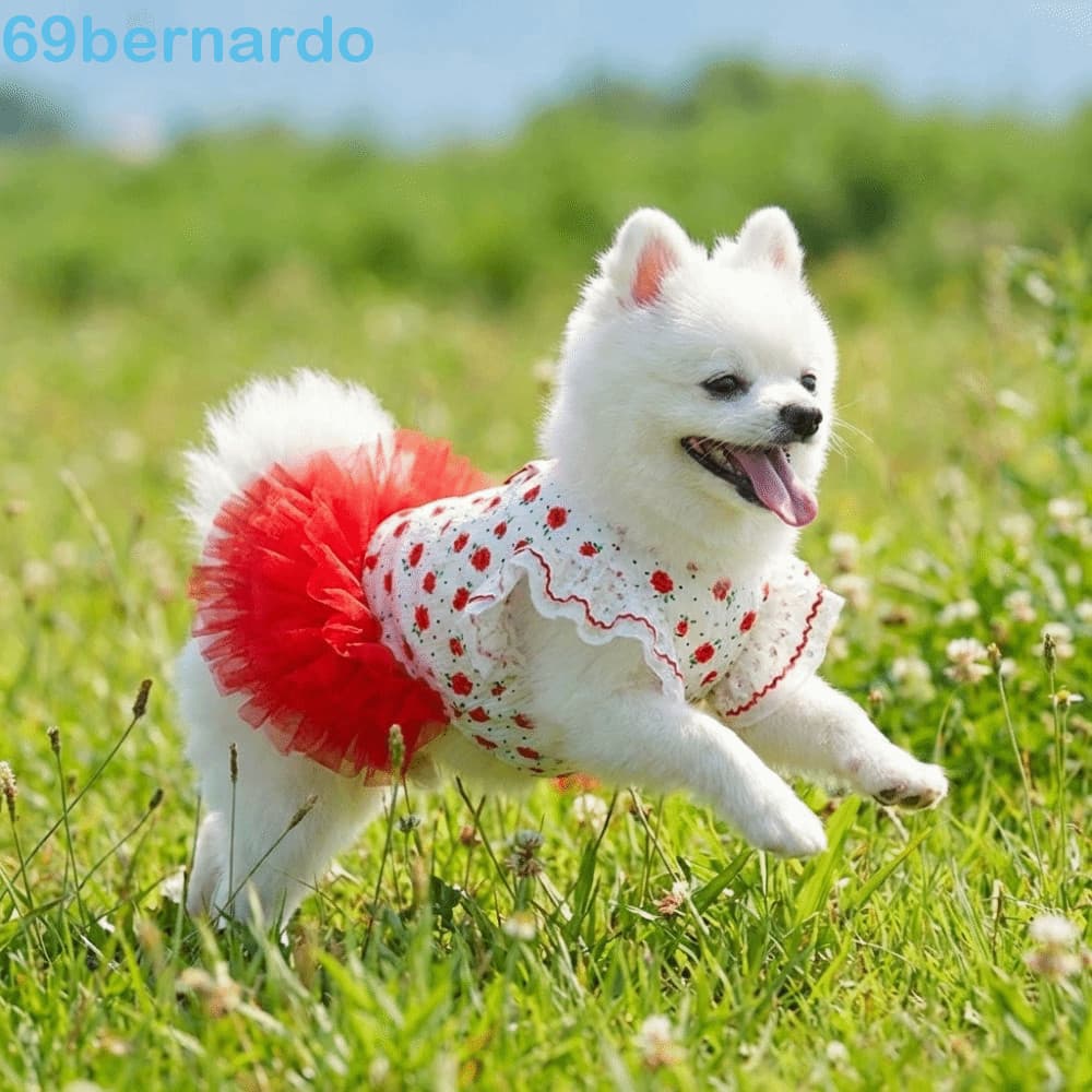 BERNARDO Vestido De Princesa Para Animais De Estimação , Saia Tutu De Gato Com Estampa Rosa Fina E Respirável , Mangas E