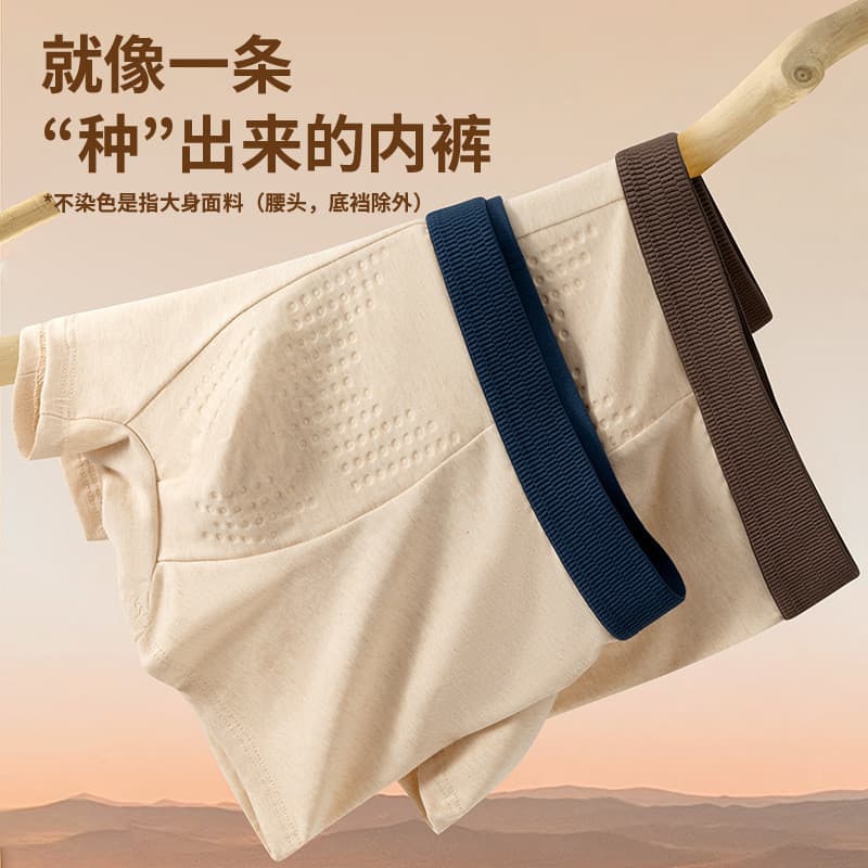 Cuecas boxer de algodão colorido Cordyceps Cuecas boxer de algodão puro Massagem de partículas Cuecas boxer masculinas a