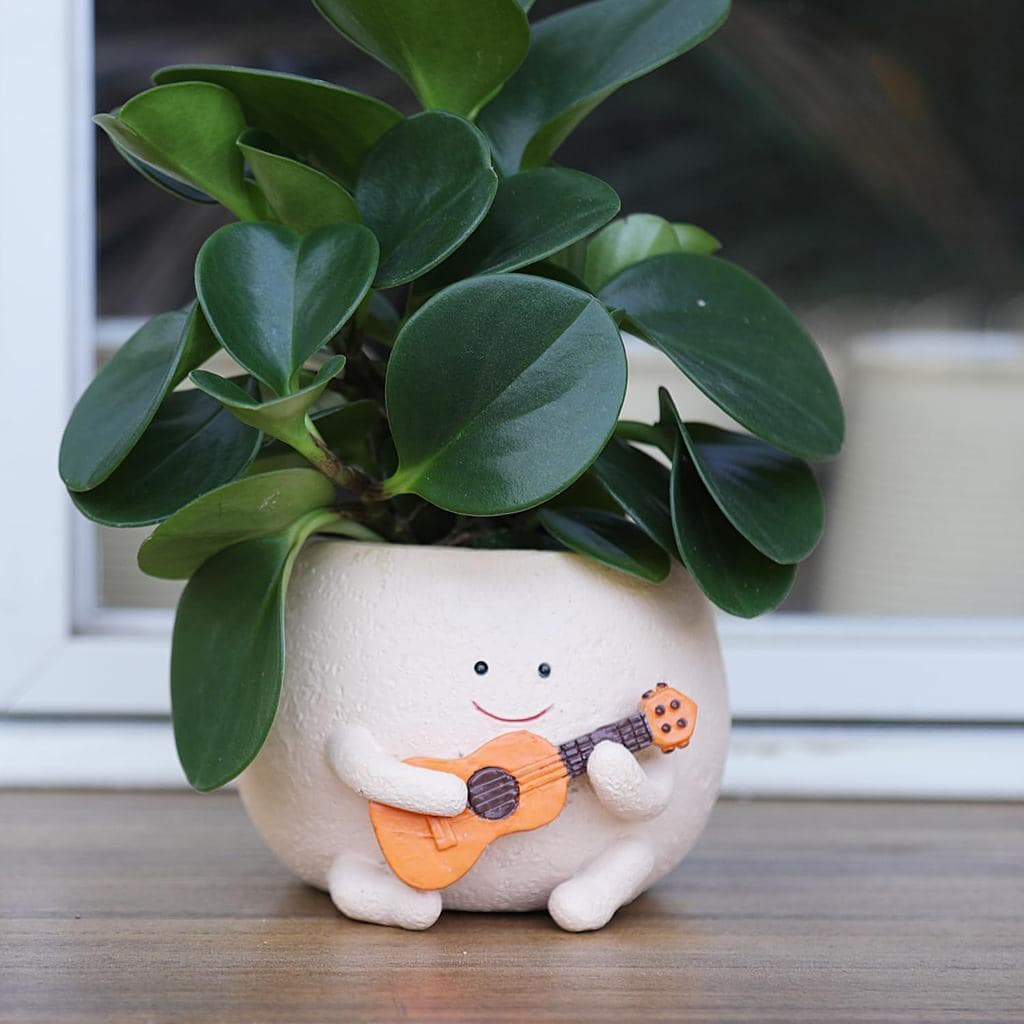 Vaso de plantas com rosto sorridente e furo de drenagem, vasos de resina fofos em formato de cabeça para planta "String