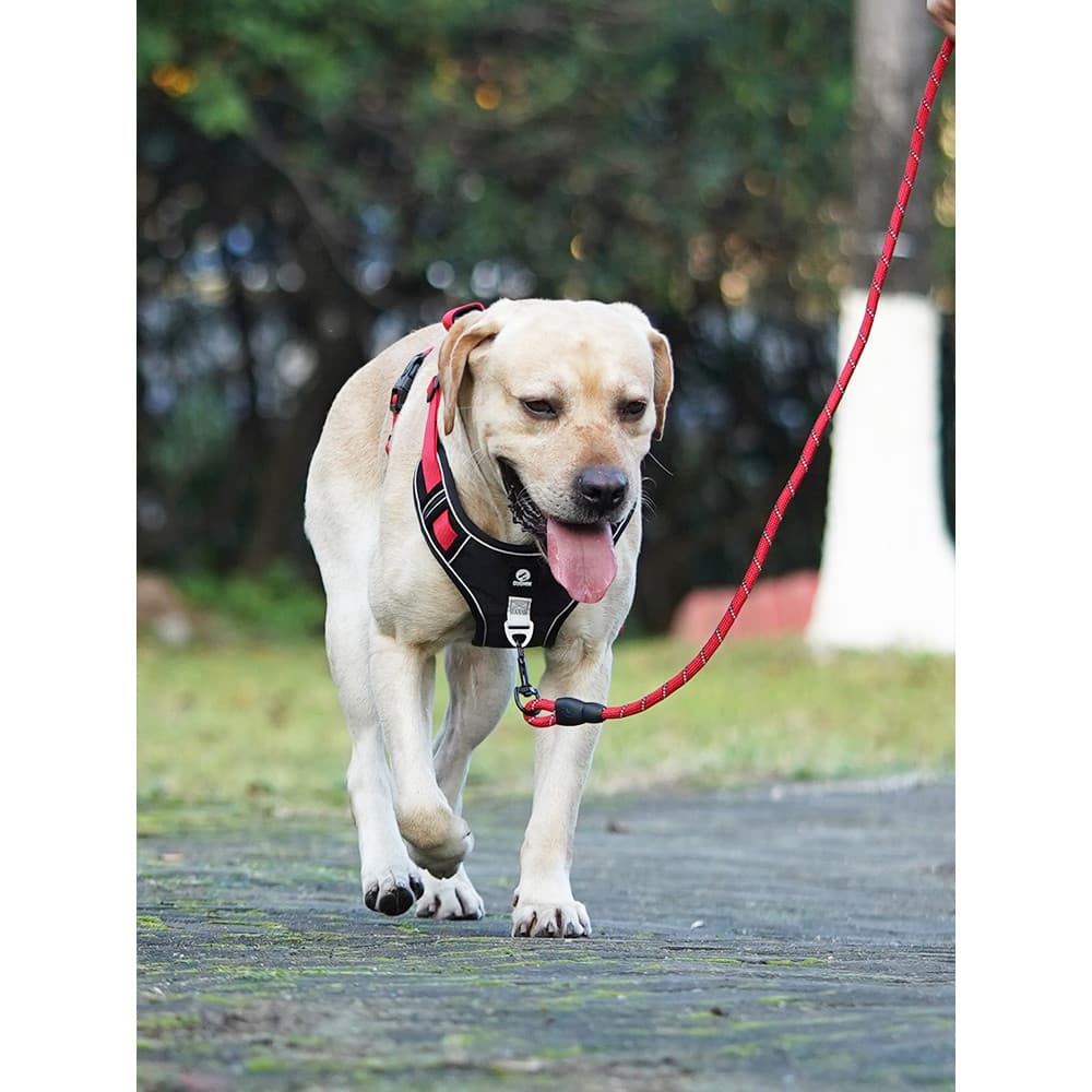 Colete à prova de explosão tipo coleira para cães médio grande cão Labrador Golden Retriever filhote de cachorro cinta p
