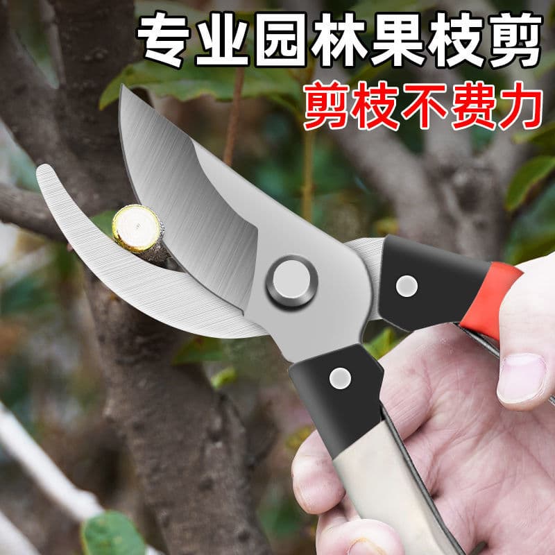 Tesoura de poda de árvores frutíferas Jardinagem Poda Ramos Jardim Poda que economiza trabalho Tesoura de galhos de flor
