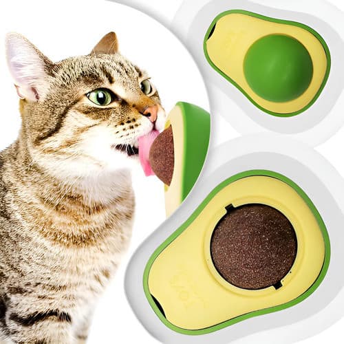 Abacate Catnip Brinquedo Gato Interativo Bola Mordedor Anti Estresse Lavável Resistente 5,5cm Pet