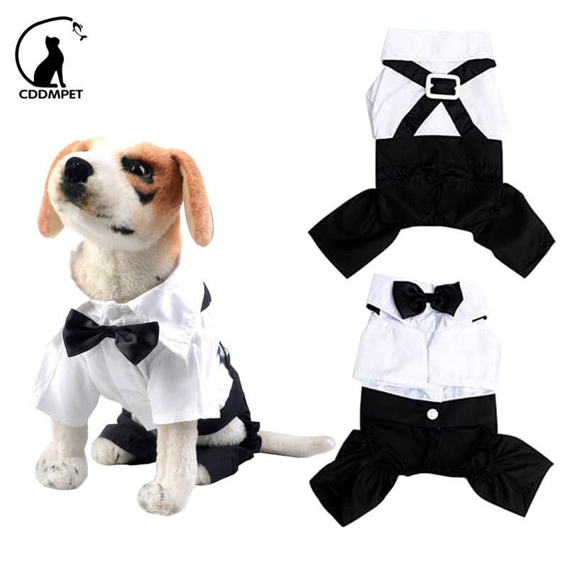 Roupa De Cachorro Macacão Roupas De Casamento Para Cães Pequenos De Estimação Casaco