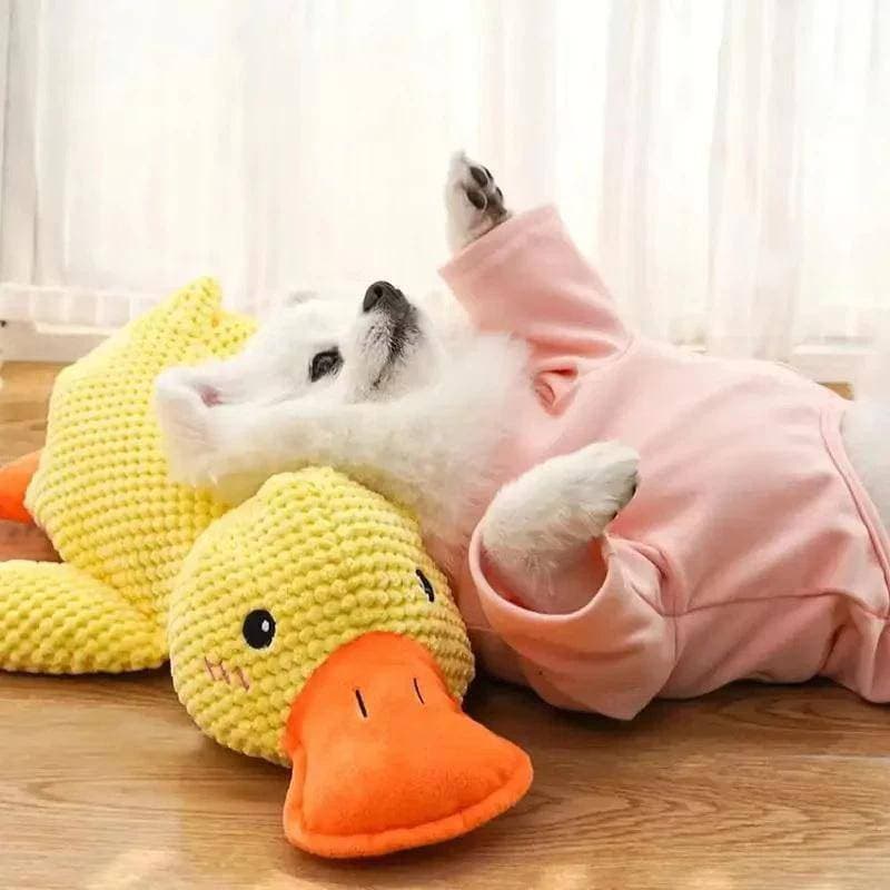 Extens Brinquedos Resistentes Para Cães-Pelúcia Estridente Pequenos E De Mastigar Indestrutíveis Raças Grandes , Filhote