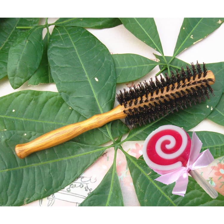 Pente de cerdas profissional pente de cabeleireiro cabelo encaracolado pente de rolamento de cabelo liso pente redondo 1