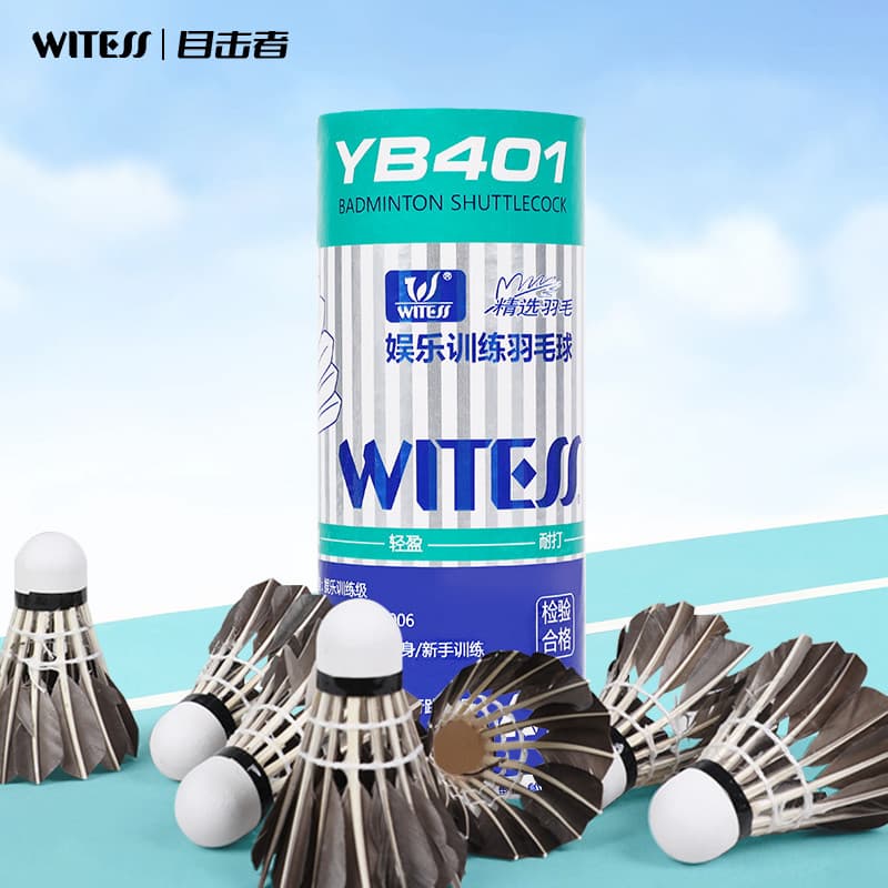 WITESS testemunha Badminton durável rei pato pena bola de treinamento dedicado YA401 durável 3 peças pacote 6 peças paco