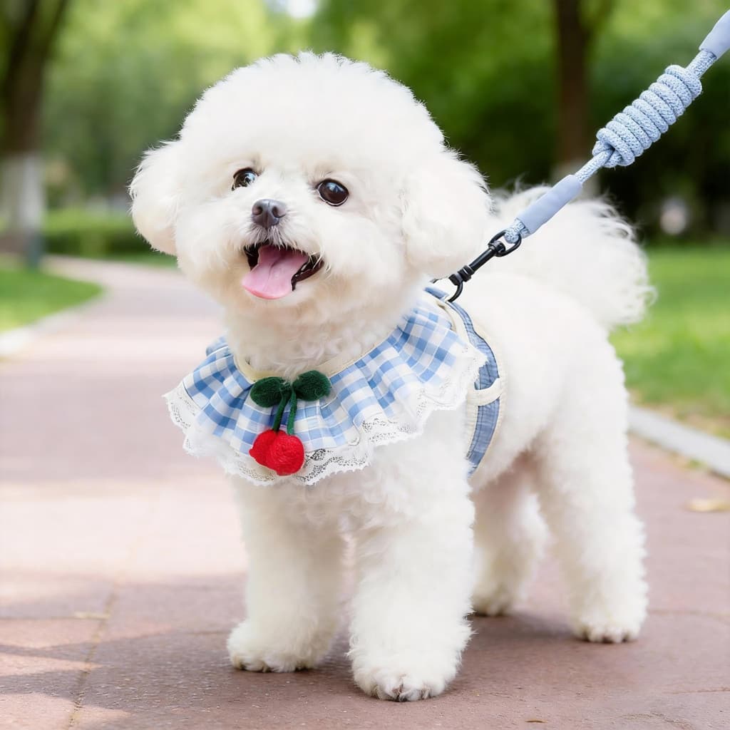 Corda de tração para cães, primavera verão, passeio dedicado, Anti-quebra, peito para animais de estimação, Bichon, Tedd