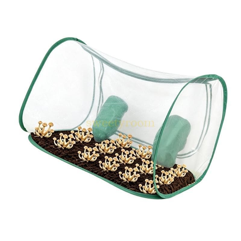 Abrigo De Frutas Interno SR Para Fungos Com Painéis De Rede Ventilados Estrutura De Suporte Flexível E Abertura De Verif