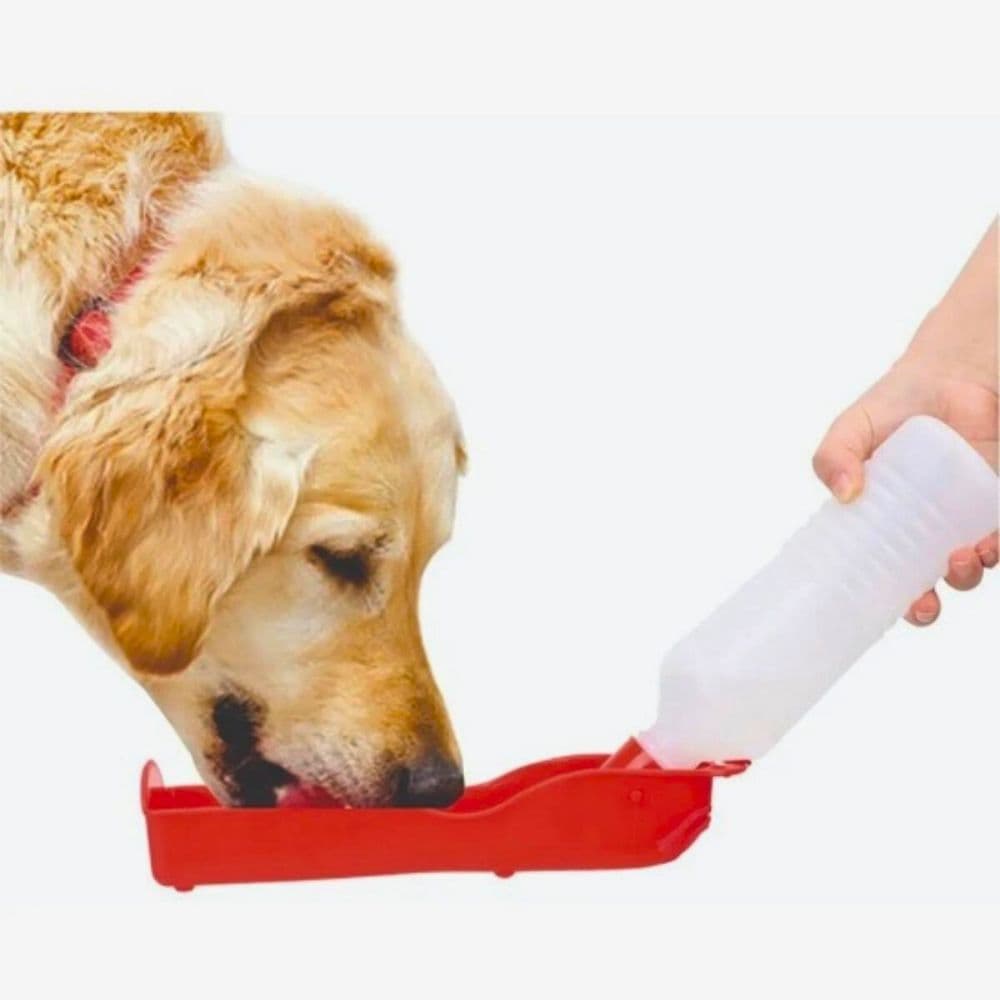 Bebedouro Portátil para Cães Passeio Garrafa Dobrável Cachorro Gato