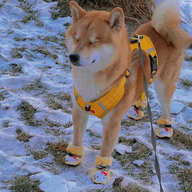 Shiba Inu Sapatos Especiais Sapatos para Cachorros Sola Macia Não Pode Lançar Capa Antiderrapante para Pés Capa de Sapat