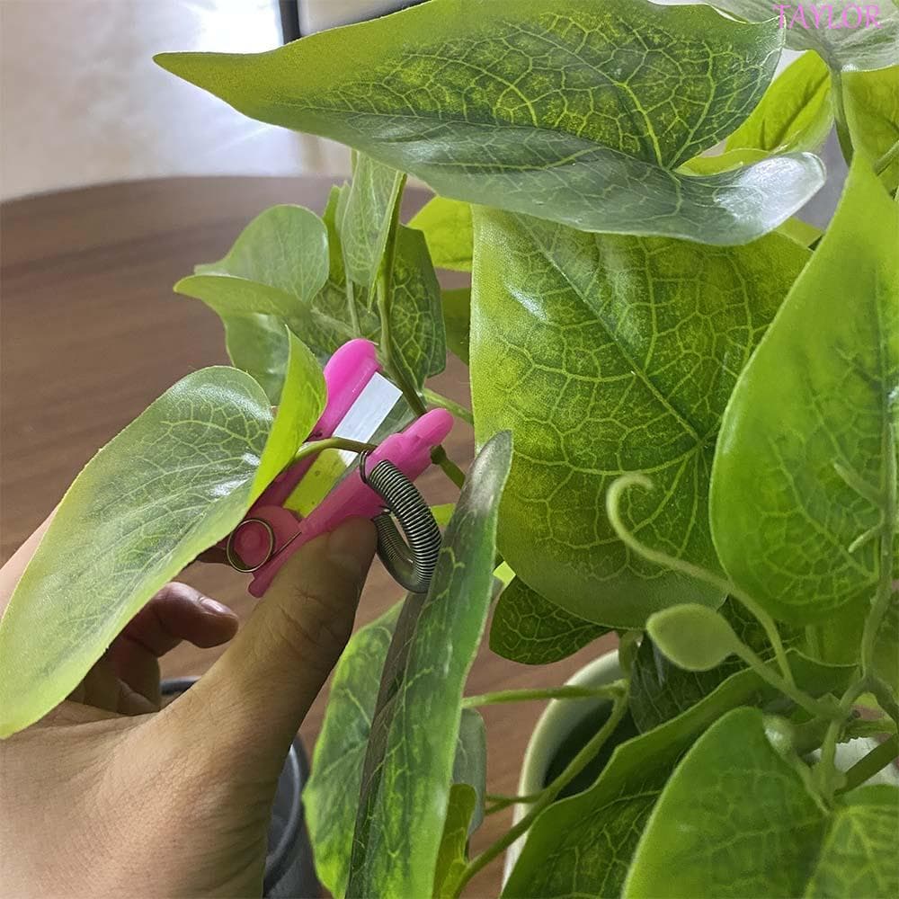 Ferramenta De Colheita De Vegetais TAYLOR Lâmina De Corte Reutilizável Protetor De Dedo Dispositivo Multifuncional Supri