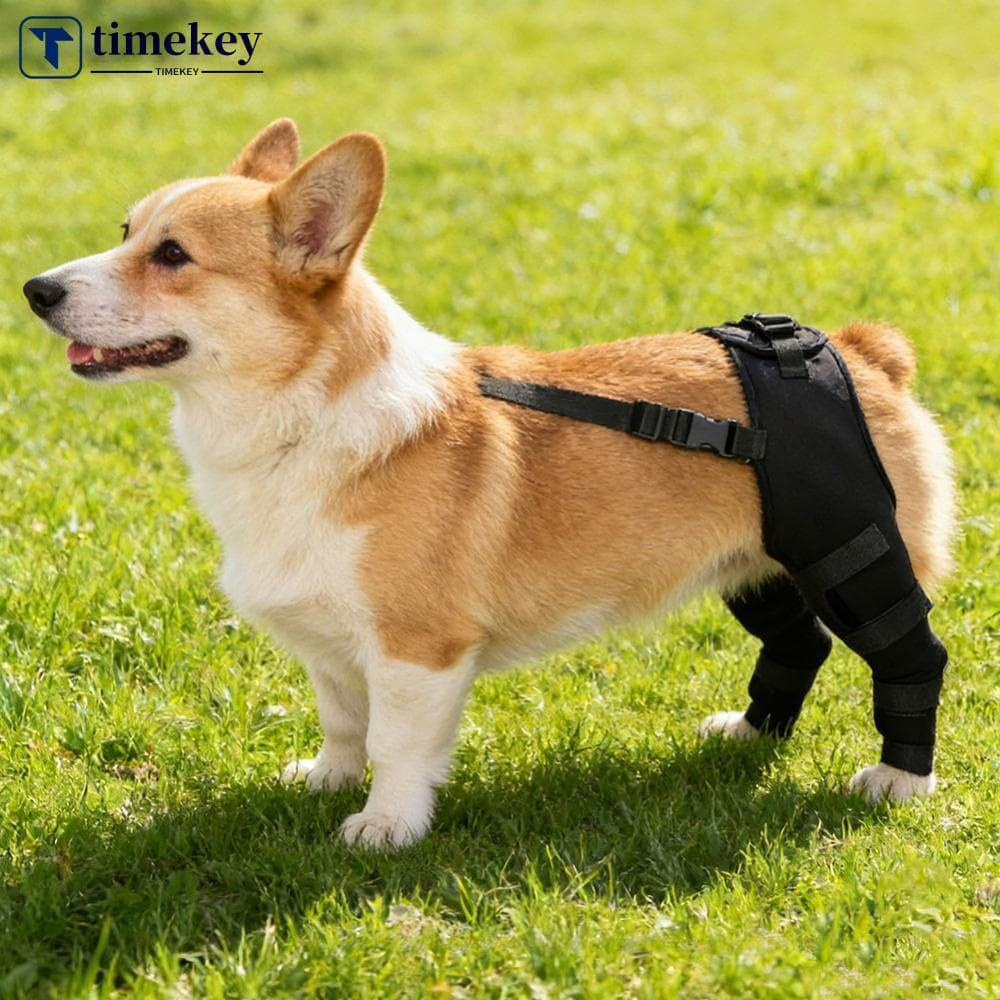 Cão Traseiro Perna Cintas Tala De Suporte Ajustável Para Hip Displasia Pós-Cirurgia Recuperação De Lesões Idosos
