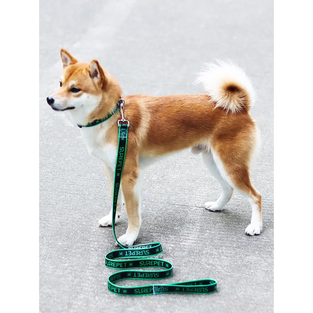Coleira de cachorro média grande coleira de cachorro pequena coleira de gato carta criativa colar de animal de estimação