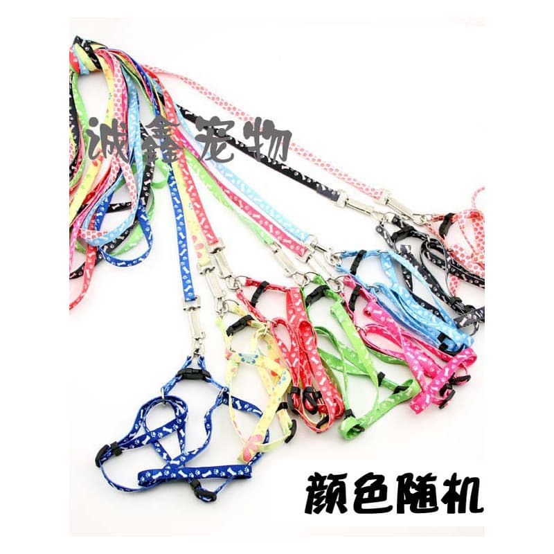Coleira para animais de estimação, coleira para cachorro, corrente para cães, conjunto de cinta peitoral para cães peque