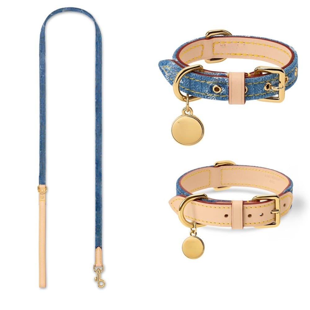 Novo Denim luz luxo presbiopia ajustável couro cão gato colar Pet trela