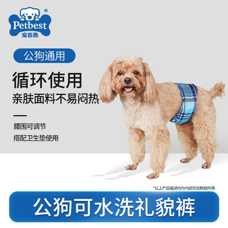 Fraldas masculinas com cinto de cortesia, fraldas laváveis para animais de estimação, estilo cinto, calças de cortesia,