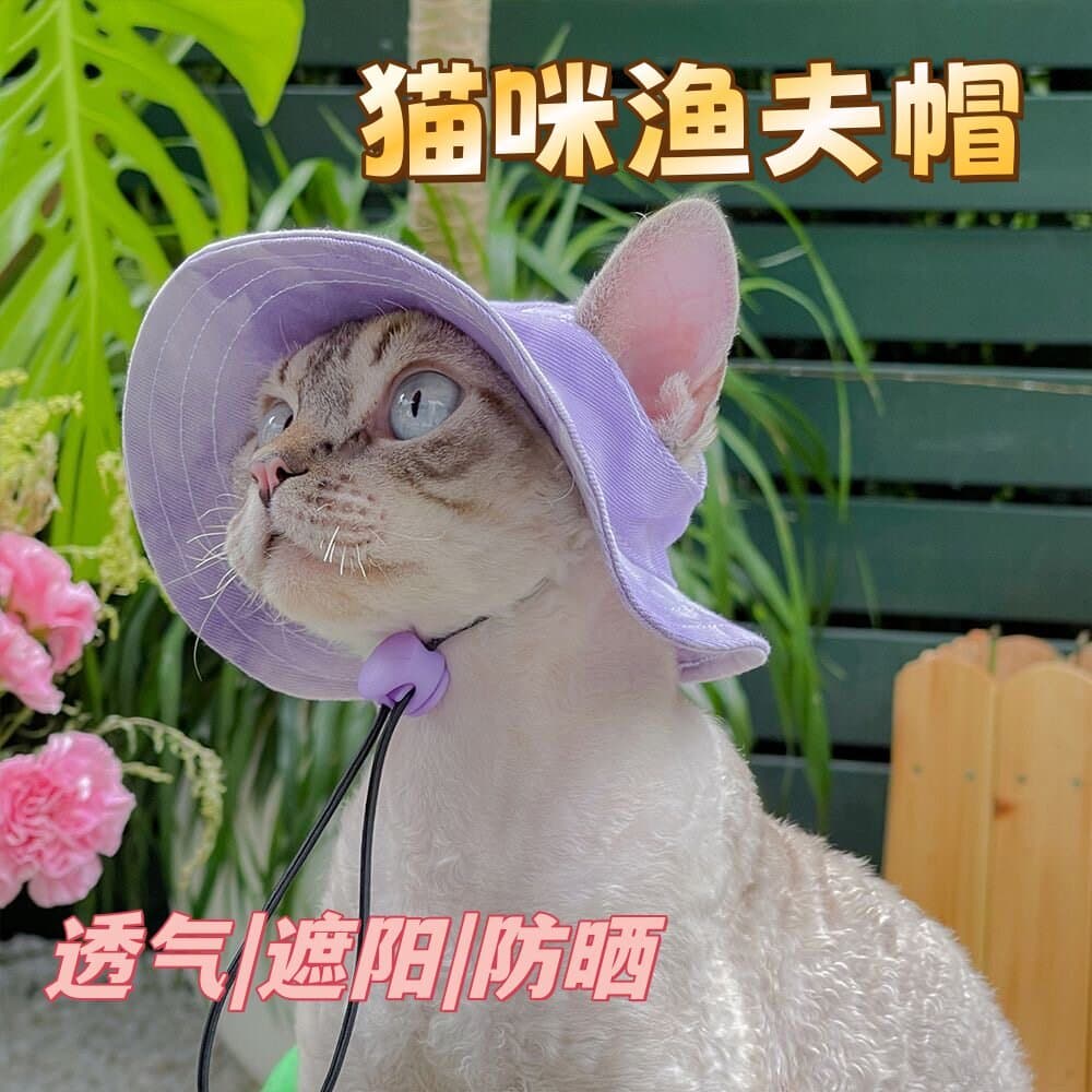 Gato gato chapéu orelhas abertas bonito orelhas abertas cão chapéu verão Pet chapéu de sol gato alemão verão pesca