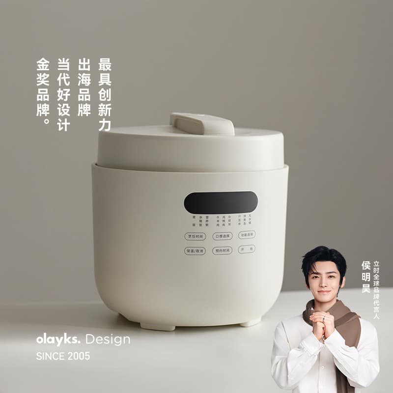 Olayks Instant Best-Selling Japão Coreia 0 Revestimento Panela de Pressão Elétrica Doméstica 5L Grande Capacidade Multif
