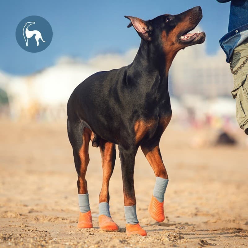Sapatos esportivos à prova d'água para cães, à prova d'água, antiderrapante, pequeno, médio porte, sapatos para cães, à